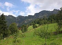 Gasthof Woell Alpbach Kültér fotó