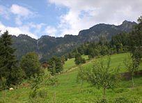 Gasthof Woell Alpbach Kültér fotó